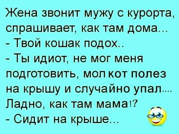 Жена звонит мужу с курорта спрашивает как там дома Твой кошак подох Ты идиот не мог меня подготовить мол кот полез на крышу и случайно упал Ладно как там мама Сидит на крыше