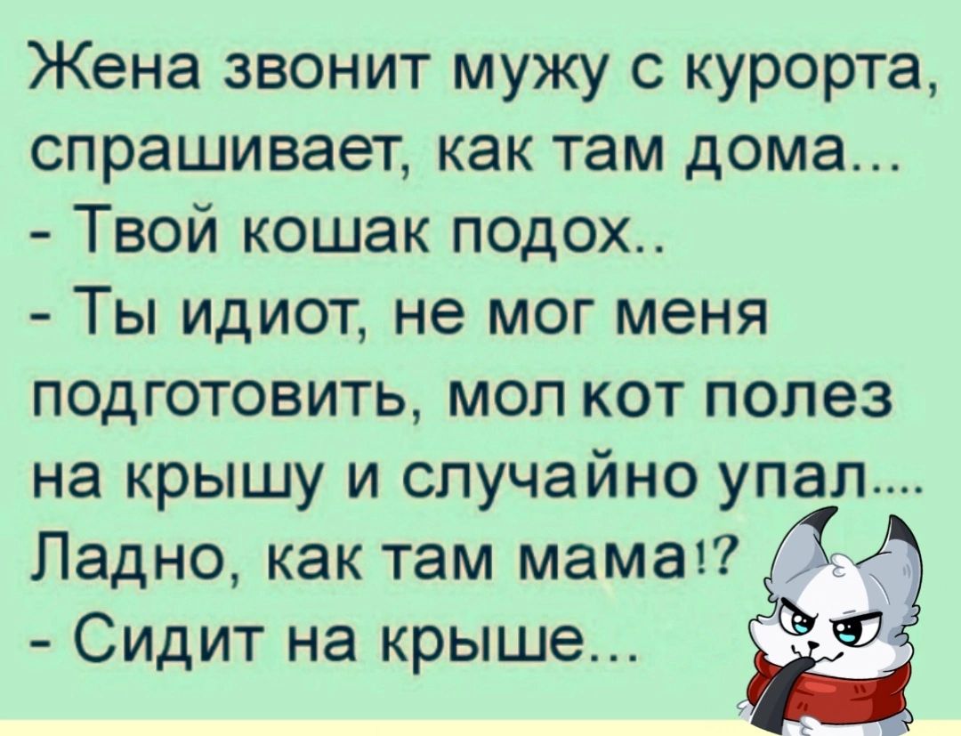 Жена звонит мужу с курорта спрашивает как там дома Твой кошак подох Ты  идиот не мог меня подготовить мол кот полез на крышу и случайно упал Ладно  как там мама Сидит на