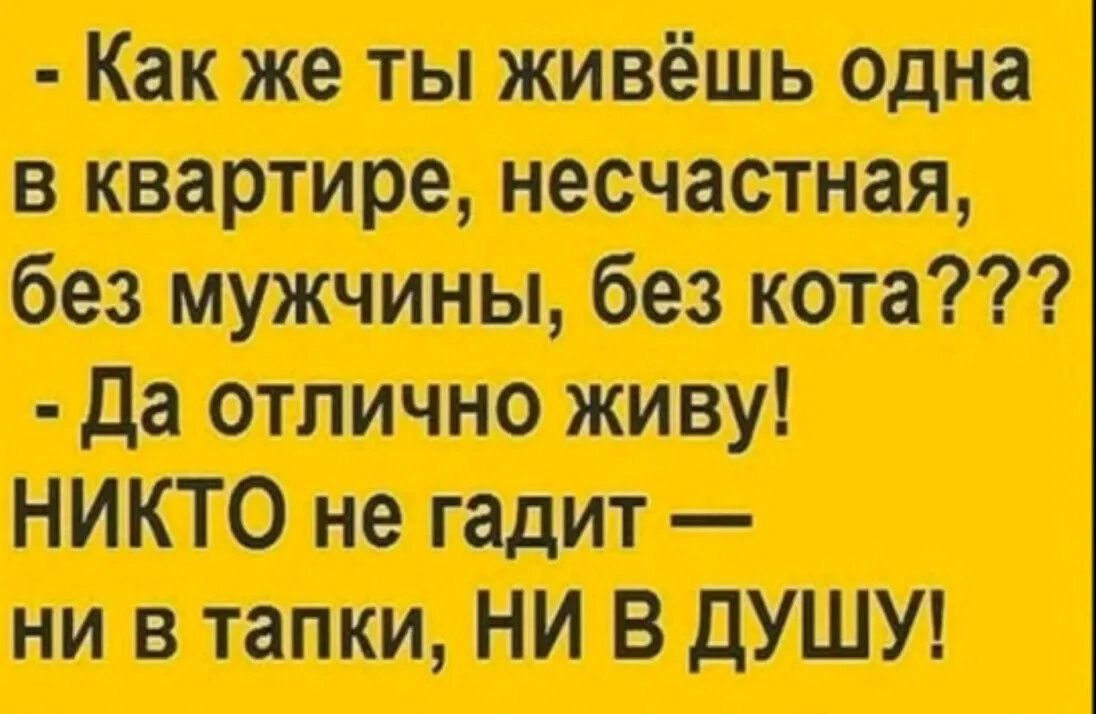 пишип итти и пт опт и мртміні