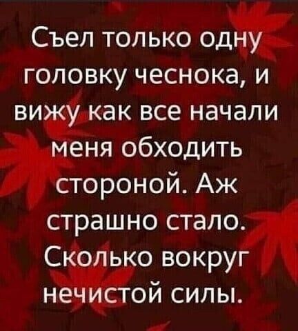 Съел только од головку чеснока и ви как все начали еНя обходить стороной Аж страшно стало Со ько вокруг ТОЙ СИЛЫ