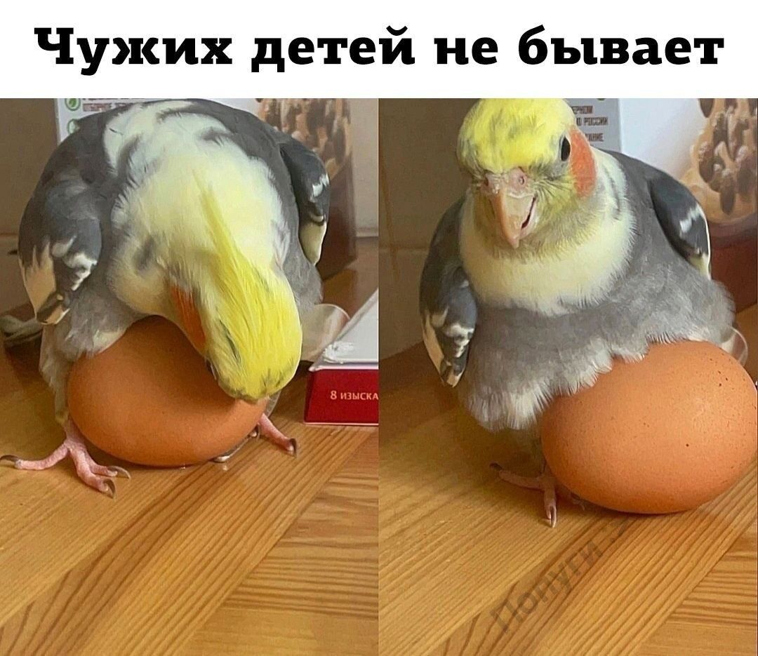 Чужих детей не бывает _