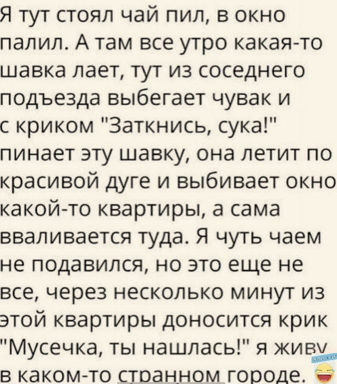 Я тут стоял чай пил в окно палил А там все утро какая то шавка лает тут из соседнего подъезда выбегает чувак и с криком Заткнись сука пинает эту шавку она летит по красивой дуге и выбивает окно какой то квартиры а сама вваливается туда Я чуть чаем не подавился но это еще не все через несколько минут из этой квартиры доносится крик Мусечка ты нашлась я жив в каком то странном городе