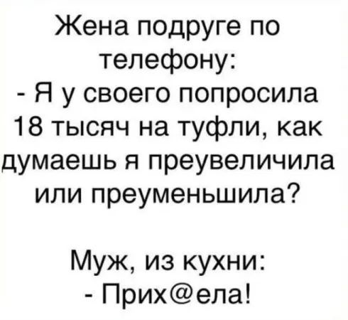 Жена подруге по телефону Я у своего попросила 18 тысяч на туфли как думаешь я преувеличила или преуменьшила Муж из кухни Прихела