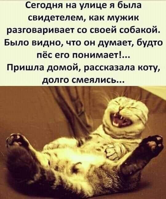 Сегодня на улице я была свидетелем как МУЖИК разговаривает со своей собакой Было видно что он думает будто ПЁС его ПОНИМЗЕТ Пришла домой рассказала коту дОЛГО СМЕЯЛИСЬ