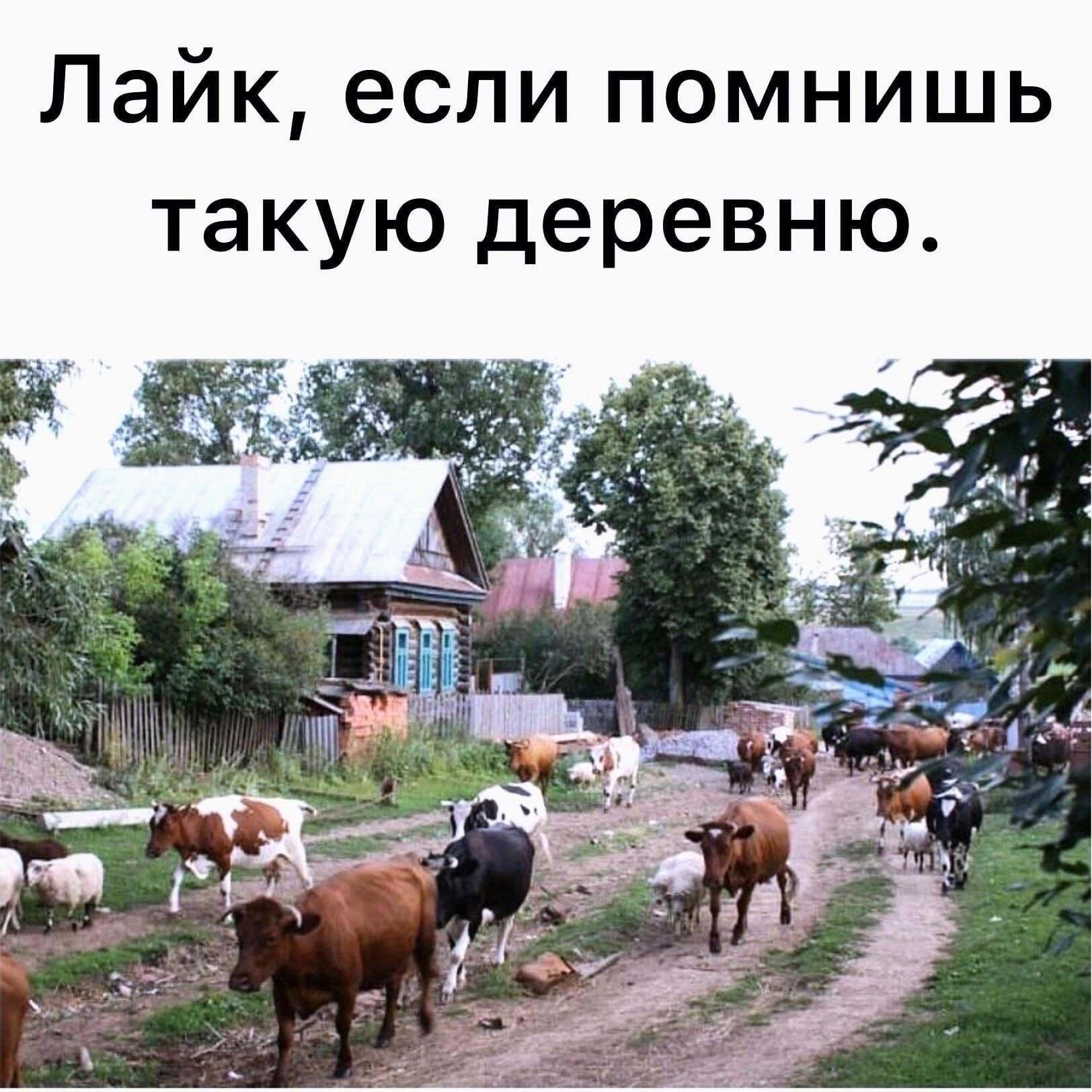 Лайк если помнишь такую деревню