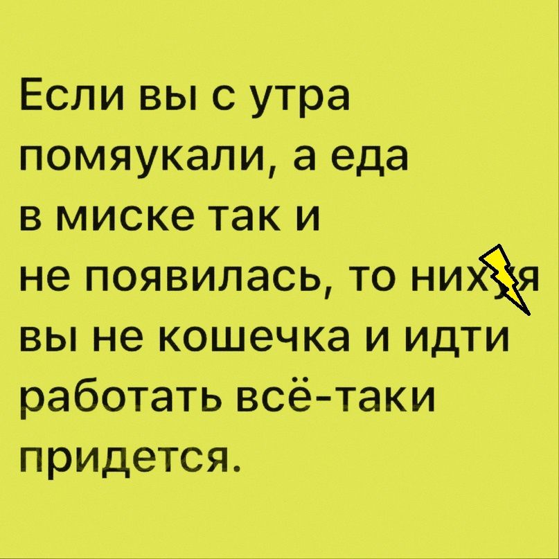 Если вы с утра помяукали а еда в миске так и не появилась то вы не кошечка и идти работать всё таки придется