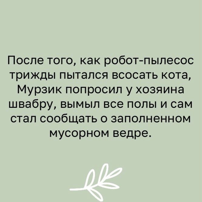 После того как робот пылесос трижды пытался всосать кота Мурзик попросил у хозяина швабру вымыл все полы и сам стал сообщать о заполненном мусорном ведре