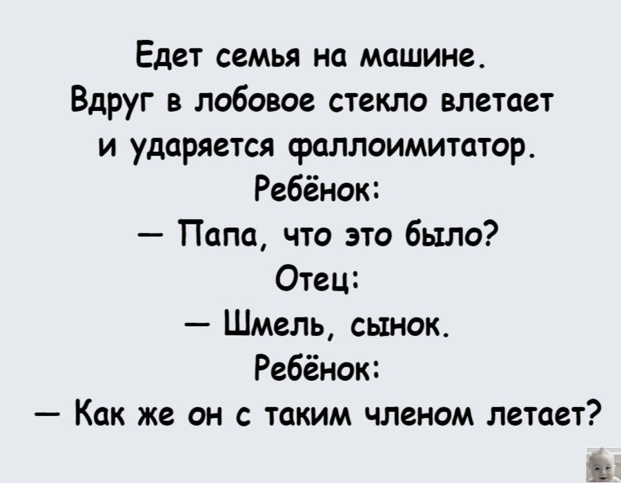 Едет семья на машине Вдруг в лобовое стекло влетает и ударяется фаллоимитатор Ребёнок Папа что это было Отец Шмель сынок Ребёнок Как же он с таким членом летает