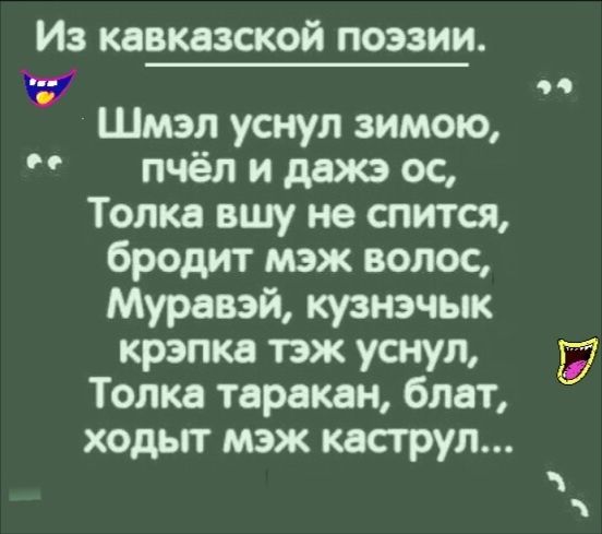 Из кавказской поэзии д _ 1 Шмэл уснул зимою пчёл и дажэ ос Топка вшу не спится бродит мэж волос Муравэй кузнэчык крэпка тэж уснул Топка таракан блат ходьгг мэж касгрул