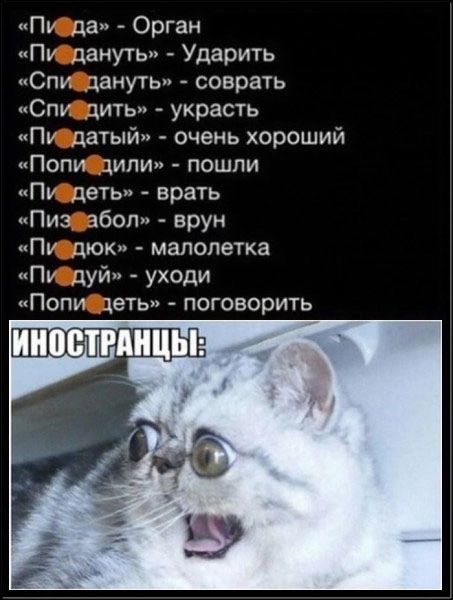 Пу да Орган Пу данугь Ударить Спи дануть соврать Спу дить украсть Пу датый очень хороший Попи 1ипи пошли Пу деть врать Пиз збоп врун Пу шок малолетка Пу дуй уходи Попи цеть поговорить