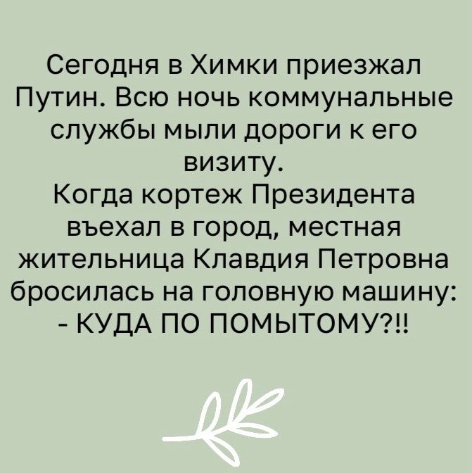 Сегодня в Химки приезжал Путин Всю ночь коммунальные службы мыпи дороги к его визиту Когда кортеж Президента въехал в город местная жительница Клавдия Петровна бросилась на головную машину КУДА ПО ПОМЫТОМУ