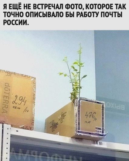 Я ЕЩЕ НЕ ВСГРЕЧАЛ ФОТО КОТОРОЕ ТАК ТОЧНО ОПИСЫВАЛО БН РАБОТУ ПОЧТЫ РОССИИ