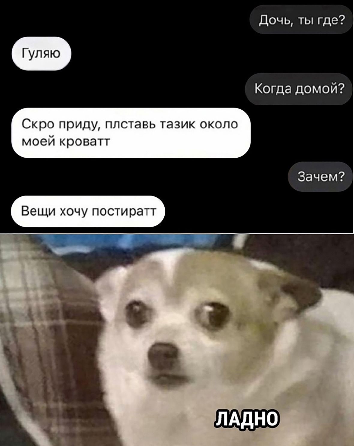 дочь чы где Когда домой рп пр пггтяы гдшк пыппо мгюа урона Зачем