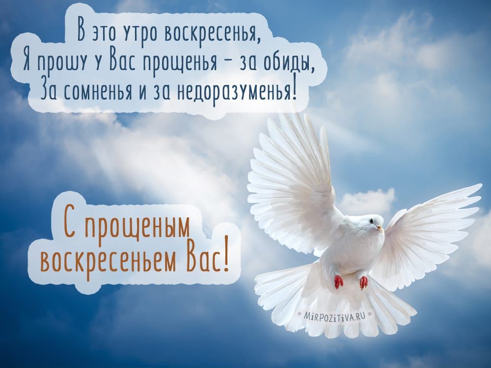 7 82 Баш при искренних Япрпшу У Вас прощенья зп обиды ОМНЕИЬЯ И Л ЕЦОРШУМЕНЬЯ РВЩЕНШЪЩ БПЕКРЕСЕНЬШ