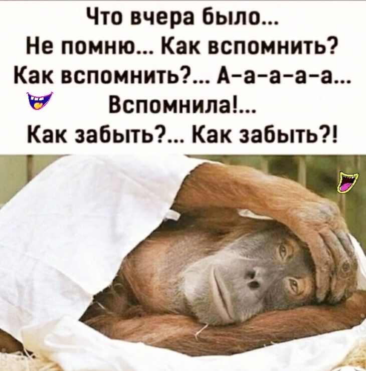 Что вчера Было Не помню Как вспомнить Как вспомнить А а а а а Ё Вспомнила Как забьпь Как забыть