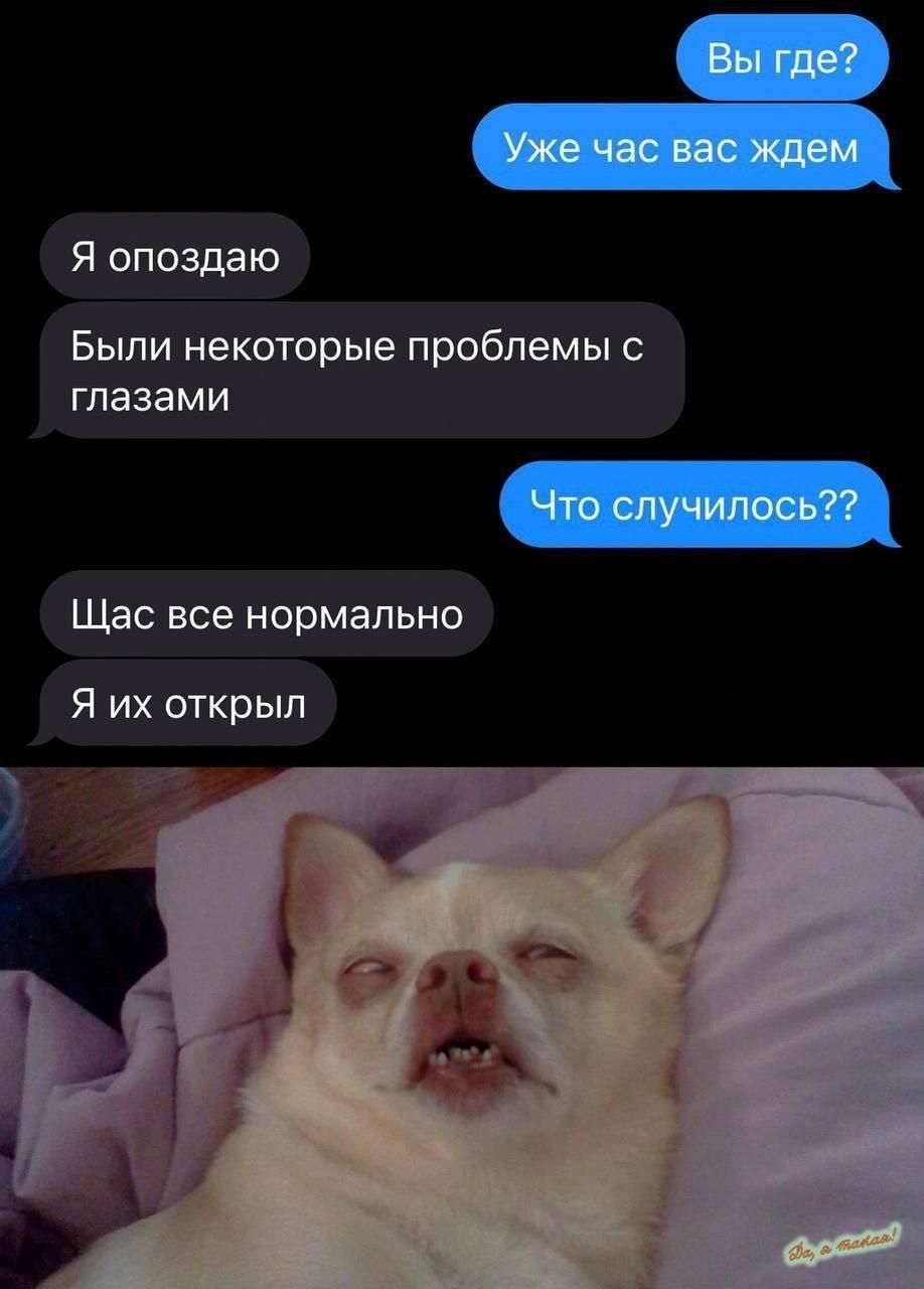 я опозддю Были некоторые проблемы с глазами Что спучипосьп Щас все нормально Я их открыл