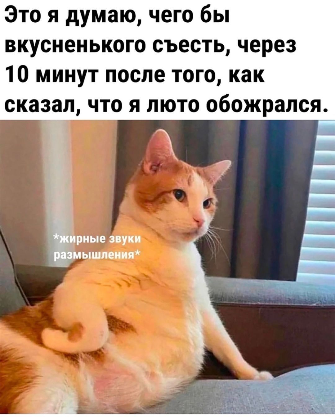 Это я думаю чего бы вкусненького съесть через 10 минут после того как сказал что я люто обожрапся