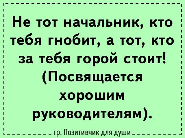 Не тот начальник кто тебя гнобит а тот кто за тебя горой стоит Посвящается хорошим руководителям