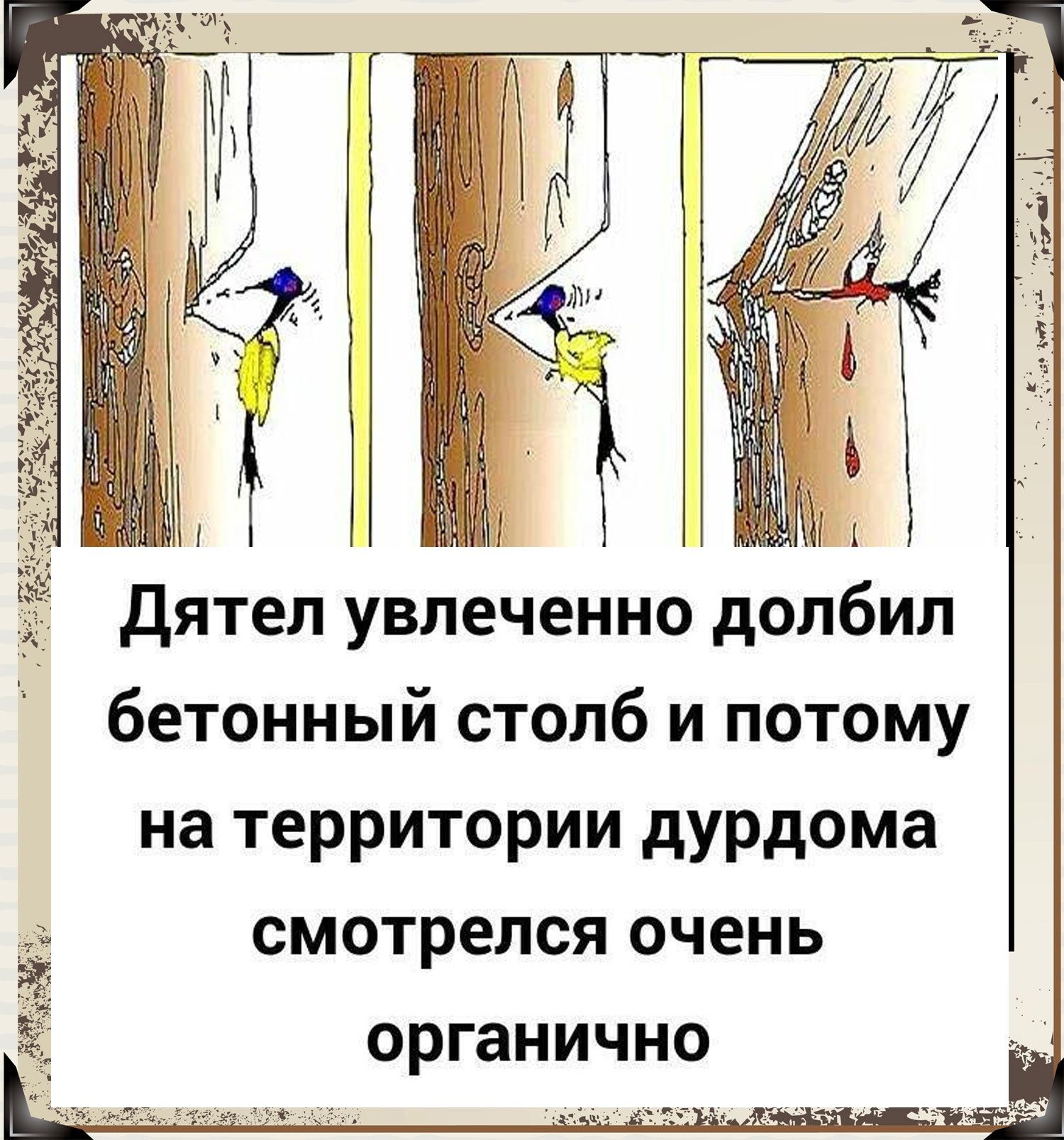 _ дятел увлеченно долбил бетонный столб и потому на территории дурдома смотрелся очень органично