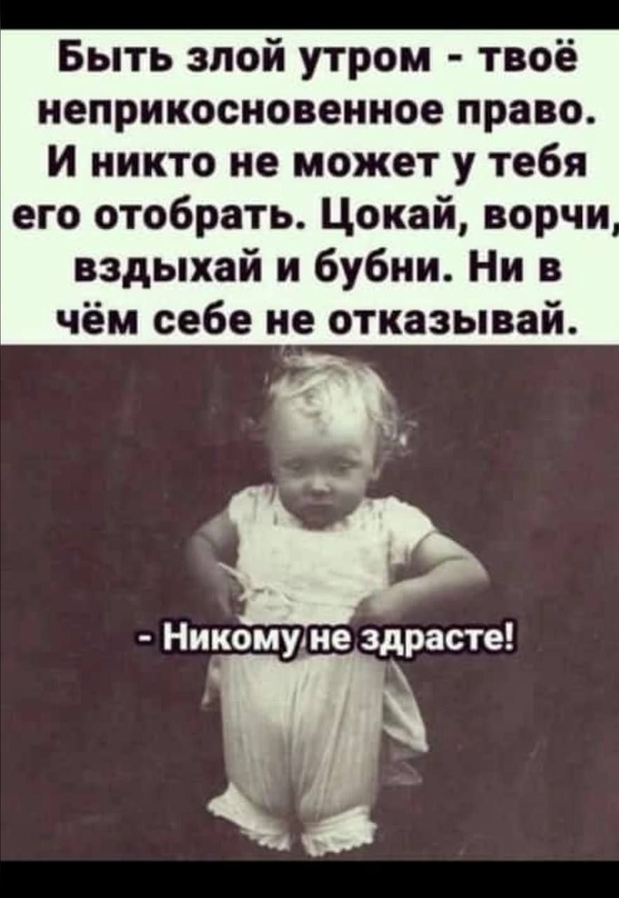 Быть злой утром твоё неприкосновениое право и никто не может у тебя его отобрать Цокай ворчи вздыхай и бубии Ни в чём себе не отказывай Никомуме здрасте