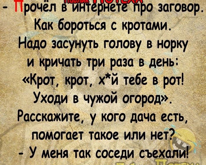 Прочёл о заговор Как бороться с кротами Надо засунуть голову в норку и кричать три раза в день Крот крот хй тебе в рот Уходи в чужой огород Расскажите у кого дача есть помогает такое или нетгдд _ У меня так соседи съеданй 54 ШЁЁЁЁА