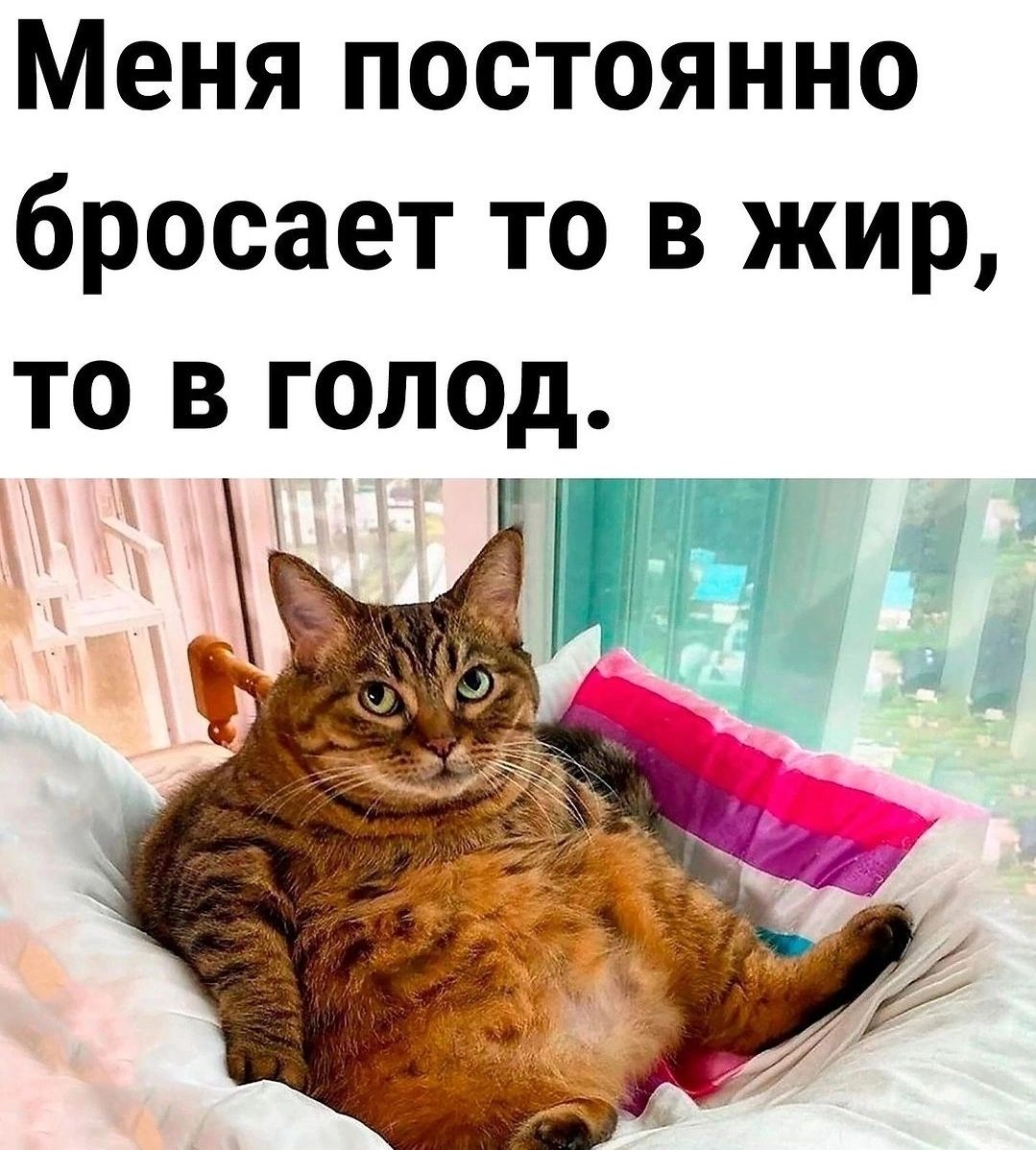 Меня постоянно бросает то в жир то в голод
