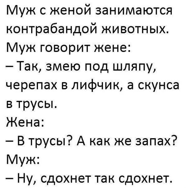 Муж с женой занимаются контрабандой животных Муж говорит жене Так змею под шляпу черепах в лифчик а скунса в трусы Жена В трусы А как же запах Муж Ну сдохнет так сдохнет