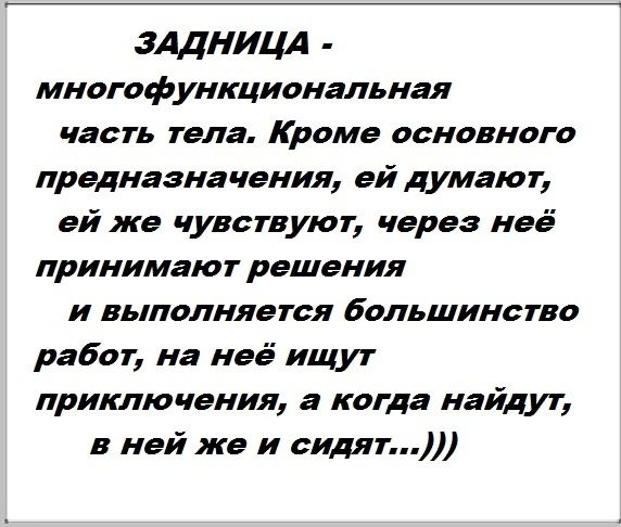 зддницл многофункциональная часть тела Кроме основного предназначения ей думают ай жа чувствуют через неё принимают решения и выполняется Большинство работ на неё ищут приключения а когда найдут в ней же и сидят