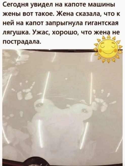СЕГОДНЯ увидел на КЗПОТЕ МЗШИНЫ жены ВОТ такое Жена сказала ЧТО К ней на капот запрыгнула гигантская лягушка Ужас ХОРОШО ЧТО жена не пострадала _