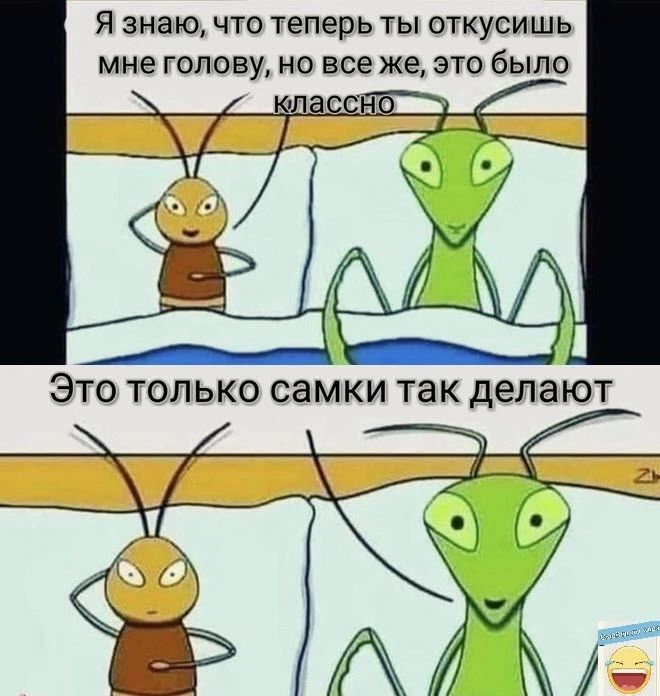 Я знаю ЧТО ТЕПЕРЬ ТЫ ОТКУВИШЬ мне ГОЛОВУ НО все же ЭТО бЫПО