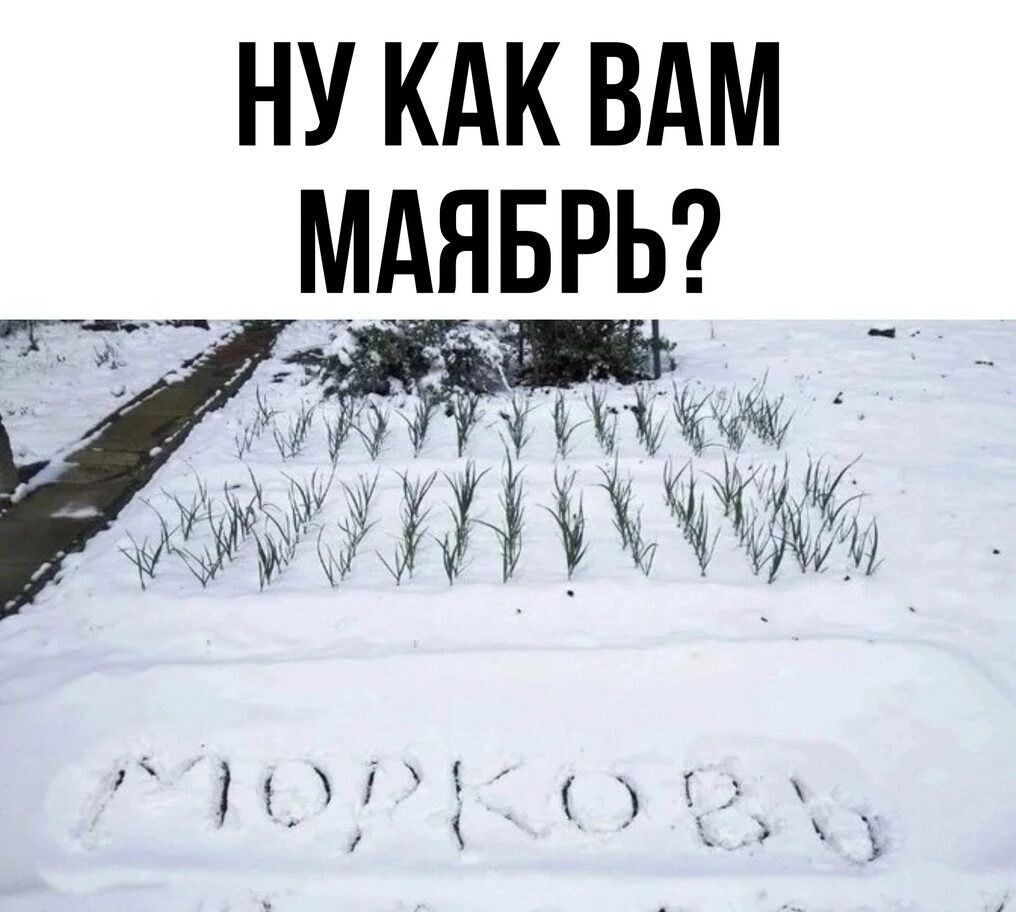 НУ КАК ВАМ _ МАЯБРЬ и 3