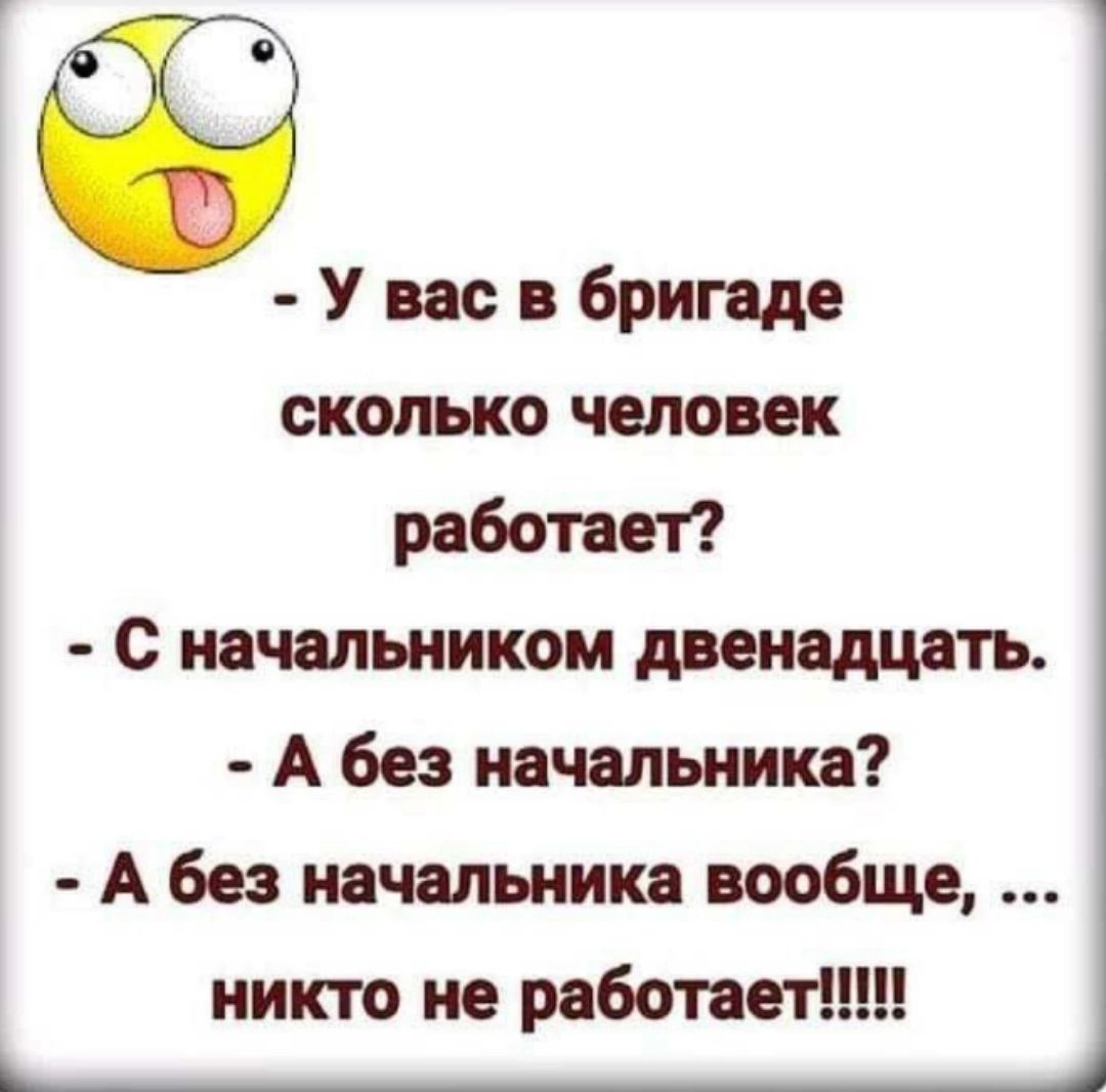 во У вас в бригаде СКОЛЬКО человек работает с начальником двенадцать А без начальника А без начальника вообще никто не работает