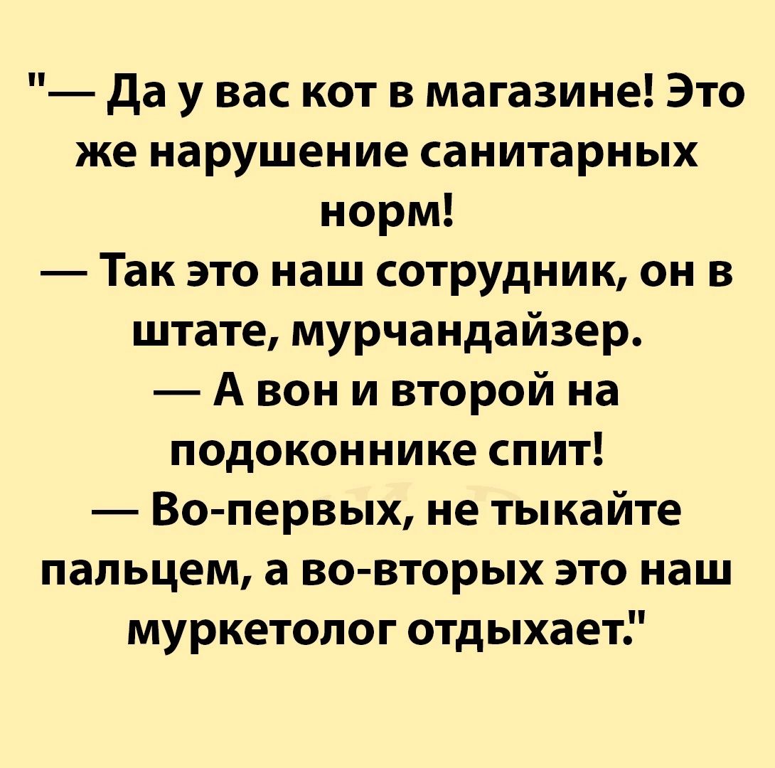 да у вас кот в магазине Это же нарушение санитарных норм Так это наш сотрудник он в штате мурчандайзер А вон и второй на подоконнике спит Во первых не тыкайте пальцем а во вторых это наш муркетопог отдыхает