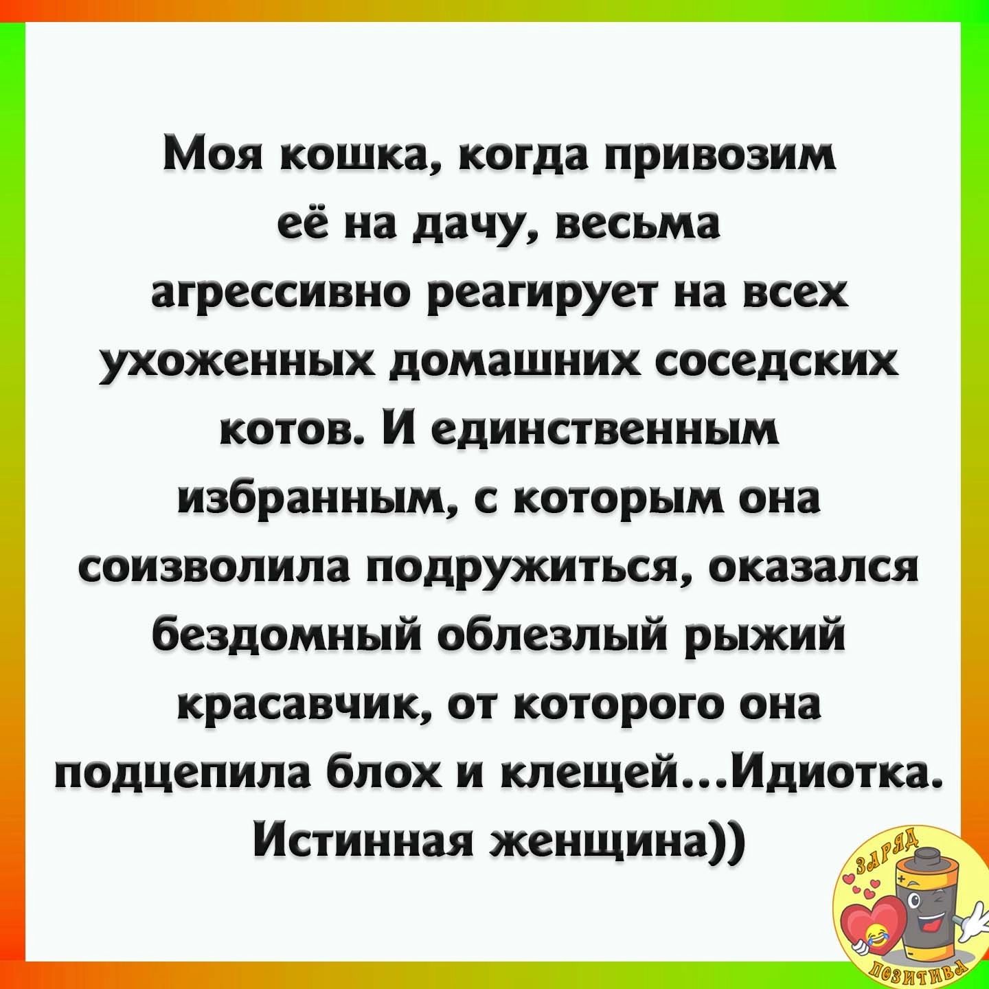 Моя кошка когда привозим её на дачу весьма агрессивно реагирует на всех ухоженных домашних соседских КПТОВ И ЕДИНСТВЕПНШ избранным с которым она соизволила подружиться оказался бездомный обпезлый рыжий красавчик КОТОРОГО она подцепила бпох и клещей Идиотка Истинная женщина