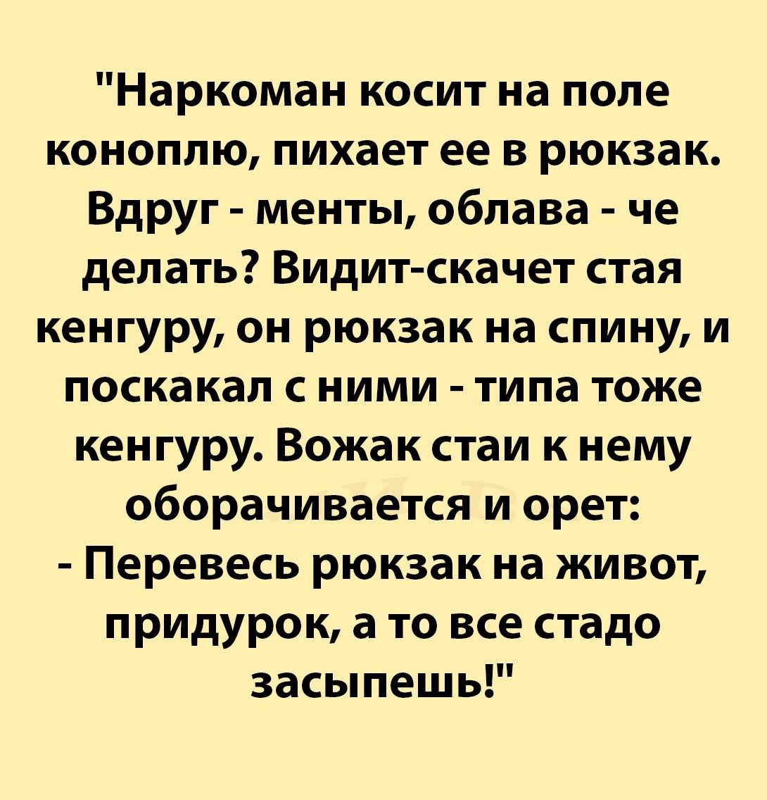 Наркоман косит на попе коноплю пихает ее в рюкзак Вдруг менты облава че делать Видит скачет стая кенгуру он рюкзак на спину и поскакал с ними типа тоже кенгуру Вожак стаи к нему оборачивается и орет Перевесь рюкзак на живот придурок а то все стадо засыпешь