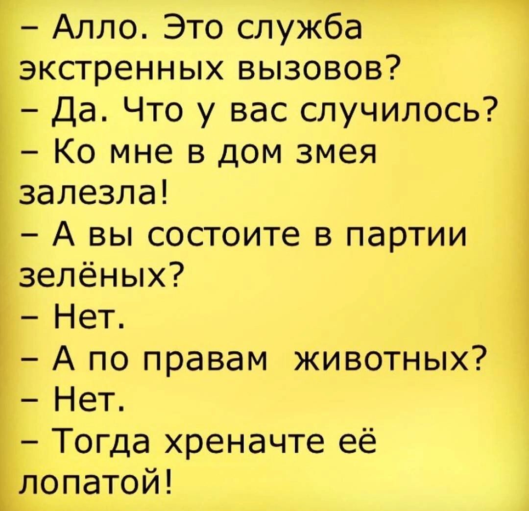 Алло Это служЁа экстренных вызовов Да Что у вас случилось Ко мне в дом змея залезла А вы состоите в партии зелёных Нет А по правам живоіных Нет Тогда хреначте её