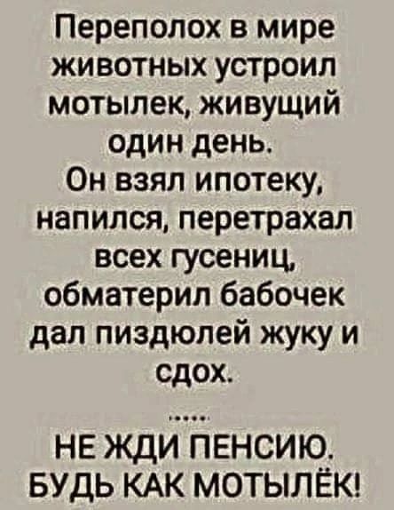 Переполох в мире животных устроил мотылек живущий один день Он взял ипотеку напился перетрахал всех гусениц обматерил бабочек дал пиздюлей жуку и сдох НЕ ЖДИ ПЕНСИЮ БУДЬ КАК МОТЫЛЁК