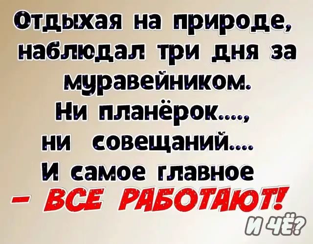 Отдыхая на природе наблюдал три дня за муравейником Ни планёрок ни совещаний и самое главное ВСЕ РЛБОТШОТ ШСП