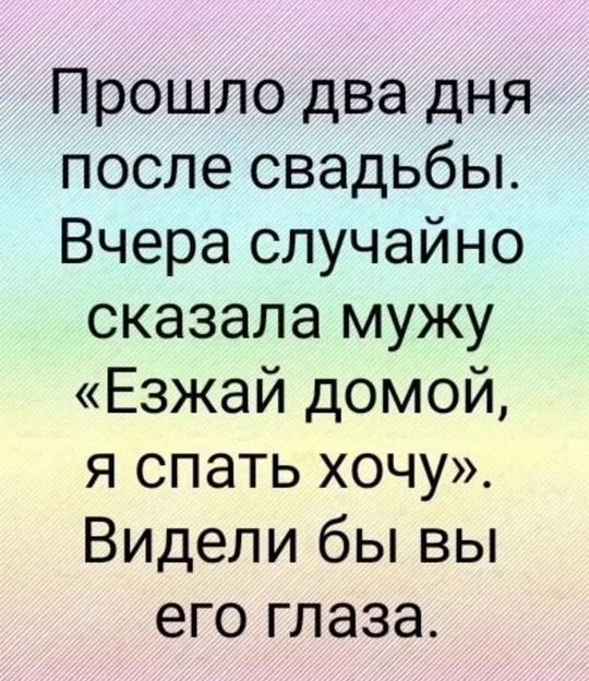 Прошло два дня после свадьбы Вчера случайно сказала мужу Езжай домой я спать хочу Видели бы вы его глаза