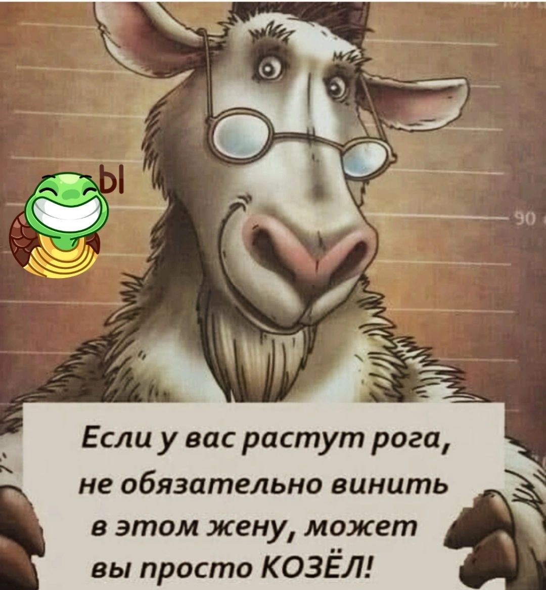 Если у вас растут рога не обязательно винить в этом жену может вы просто КОЗЁЛ