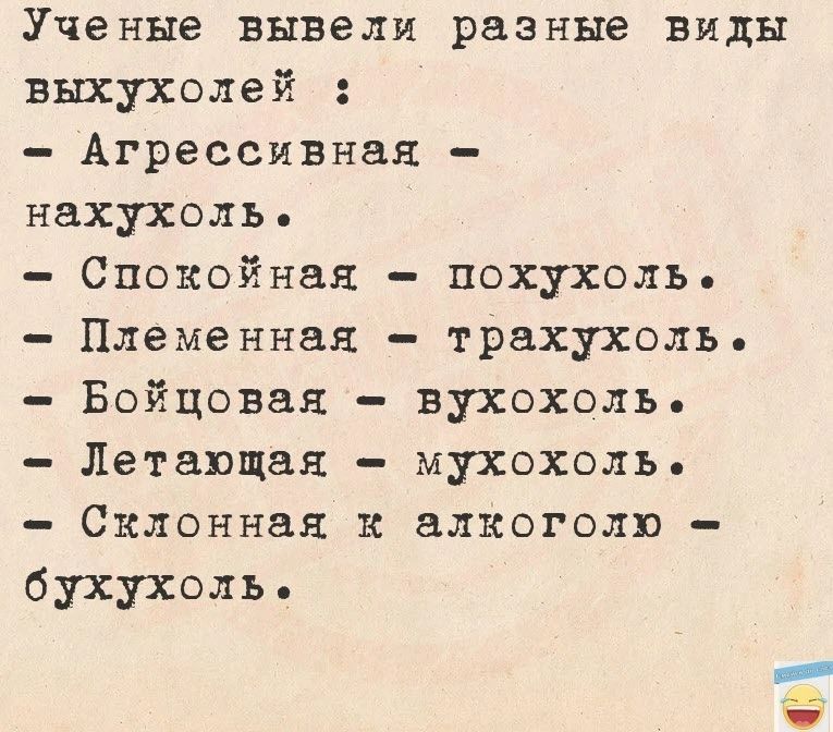 Ученые вывели разные виды выхухолей Агрессивная нахухоль Спокойная похухоль Племенная трахухолъ Бойцовая вухохоль Летающая мухохолъ Склоннан к алкоголю бухухоль