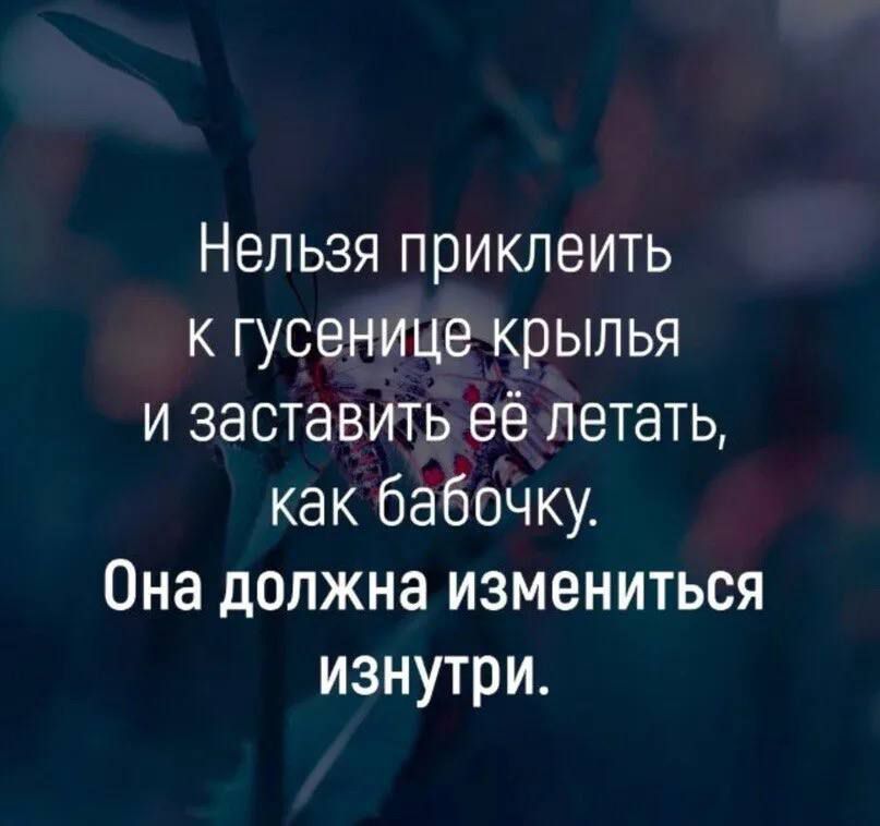 Нельзя приклеить к гусенице крылья и заставить её летать как бабочку Она должна измениться изнутри