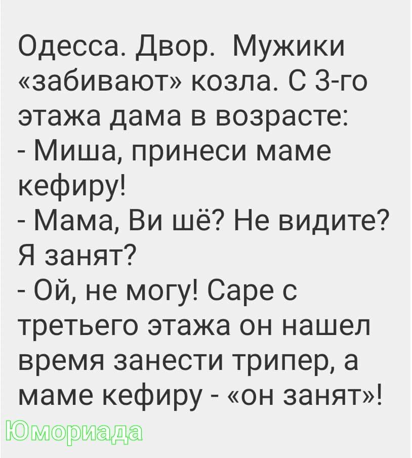 Одесса Двор Мужики забивают козла С 3го этажа дама в возрасте Миша принеси маме кефиру Мама Ви шё Не видите Я занят Ой не могу Саре с третьего этажа он нашел время занести трипер а маме кефиру он занят