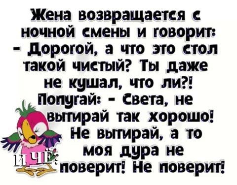 Жена возвращается ночной смены и говорит дорогой а что по стол такой чистый Ты даже не кушал что ли Попугайі Света не вытирай так хорошо Не вытрай а то моя дура не пёповерип Не поверит