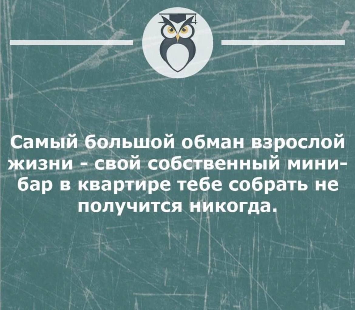 Самый большой обман взрослой жизни свой собственный мини бар в квартире тебе собрать не получится никогда