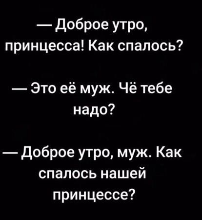 Доброе утро принцесса Как спалось Это её муж Чё тебе надо Доброе утро муж Как спалось нашей принцессе