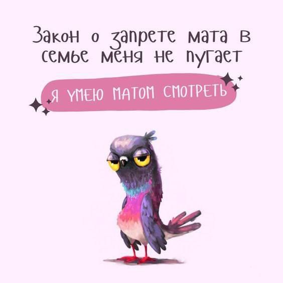 Закон о хапрете мата в семье Мёня не пугает Я УМЕЮ ПАТОМ СМОТРЕТЬ