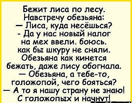 Бежит лиса по лесу Навстречу обезьяна Лиса куда несёшься Да у нас новый налог на мех ввели боюсь как бы шкуру не сняли Обезьяна как кинется бежать даже лису обогнала Обезьяна а тебе то голожопой чего бояться Ато я нашу страну не знаю С голожопых и начнут