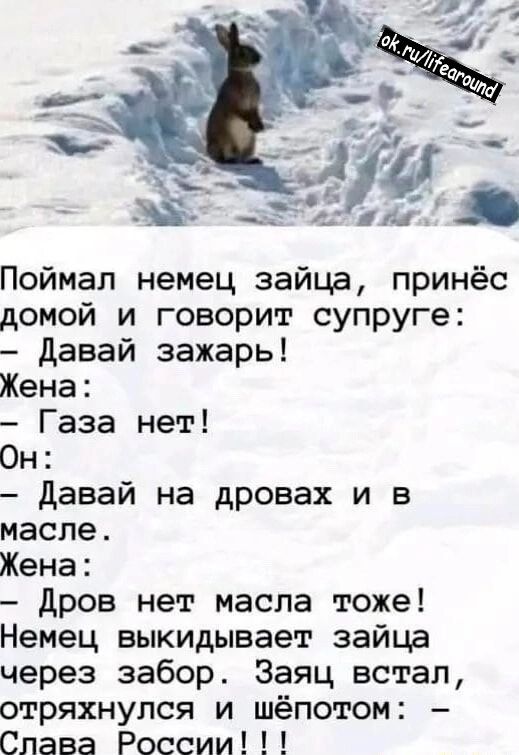 Поймал немец зайца принёс домой и говорит супруге Давай зажарь Жена Газа нет Он Давай на дровах и в масле Жена Дров нет масла тоже Немец выкидывает зайца через забор Заяц встал отряхнулся и шёпотом Спава России