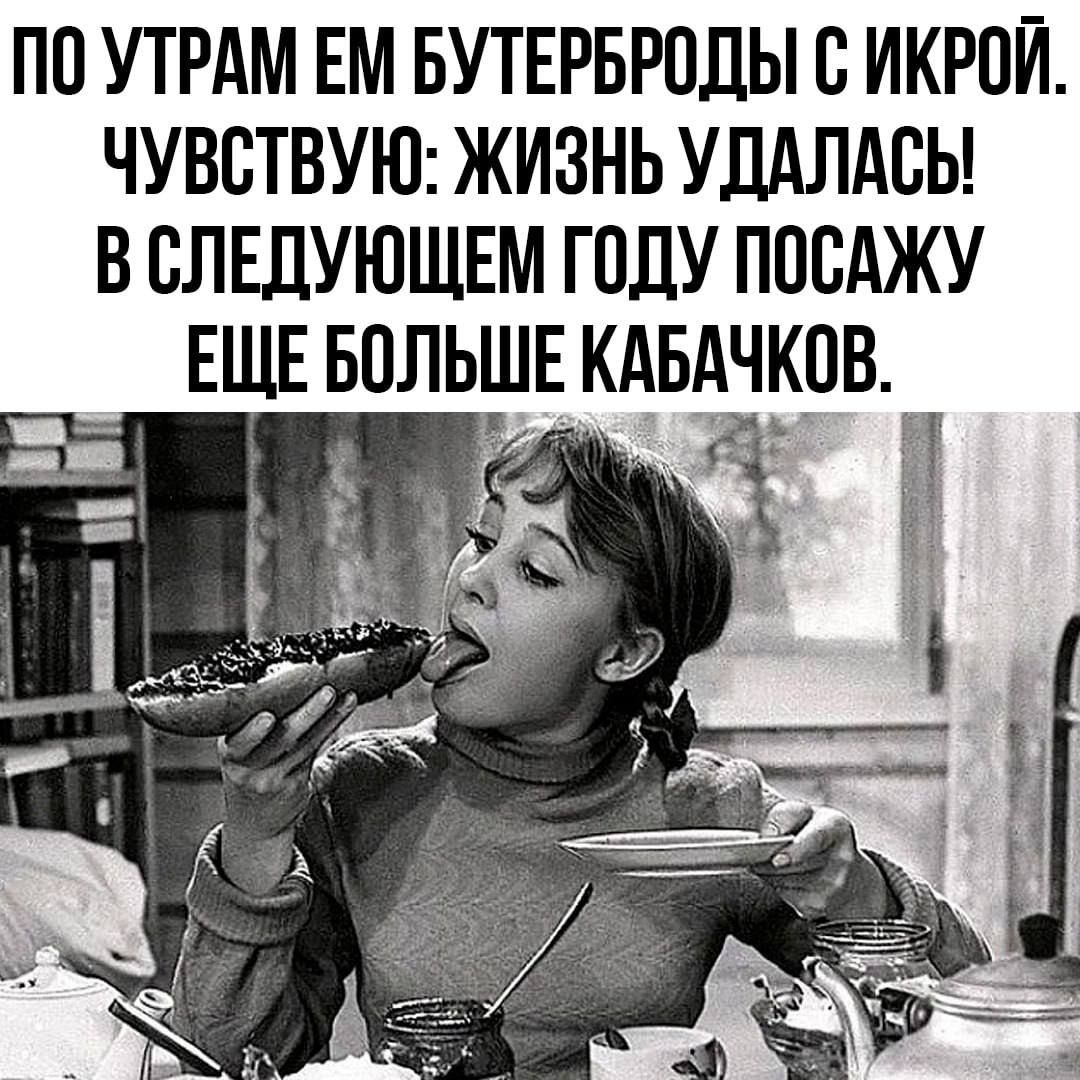 ПО УТРАМ ЕМ БУТЕРБРОДЫ С ИКРОЙ ЧУВСТВУЮ ЖИЗНЬ УДАЛАСЬ В СЛЕДУЮЩЕМ ГОДУ ПОСАЖУ ЕЩЕ БПЛЫНЕ КАБАЧКОВ